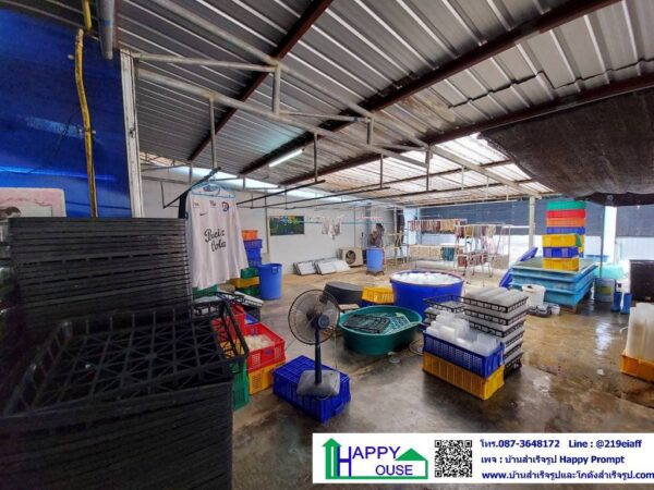 งานกั้นห้องปลอดเชื้อสำหรับเพาะต้นไม้ ขนาด 11.5x11.9 เมตร สูง 3 เมตร - Image 3